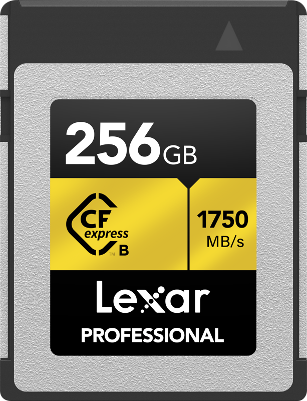 CFexpress Pro R1750:W1000 256GB